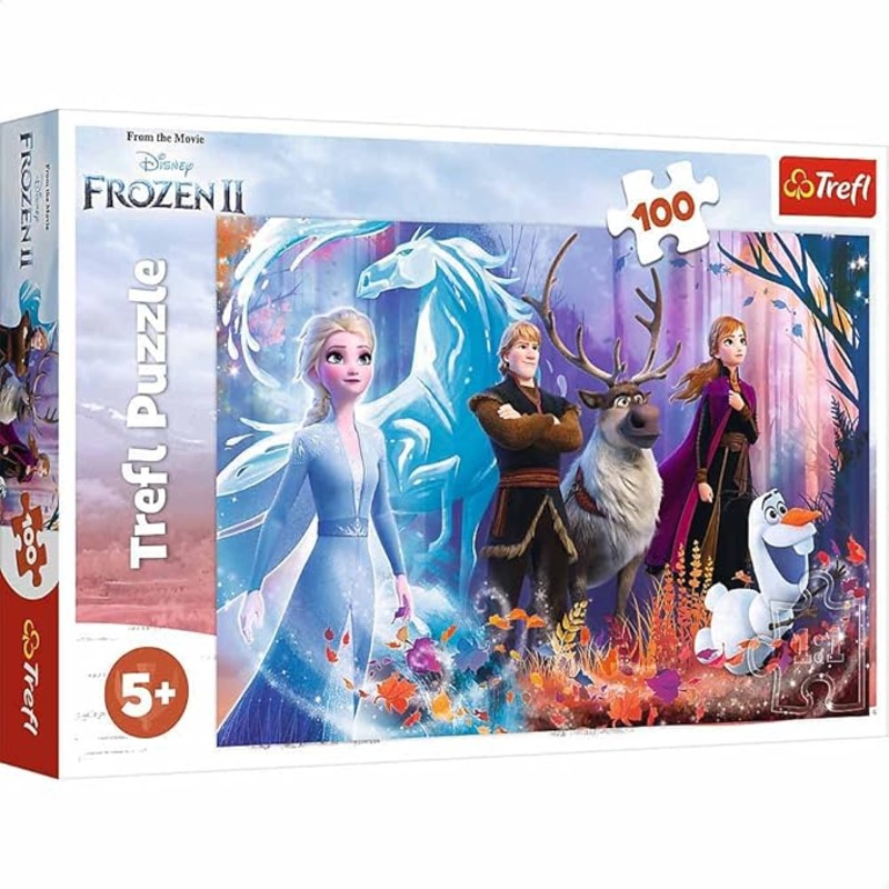 100 Magic of Frozen Puzzle