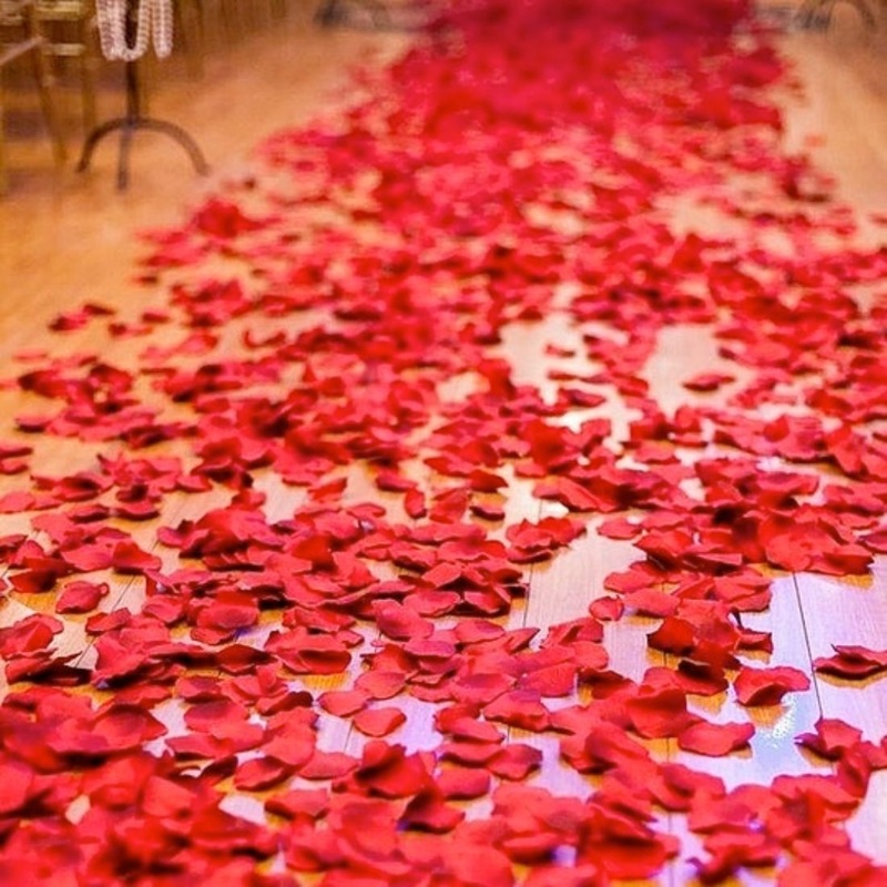 1250 Red Rose Petals | Real Fresh | Boo Bear Factory ( Small Bear Ad-Ons )