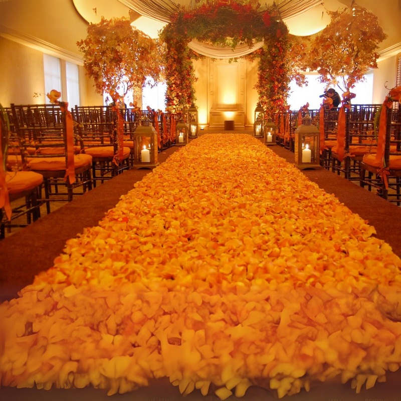3000 Orange Rose Petals | Real Fresh | Boo Bear Factory ( Small Bear Ad-Ons )