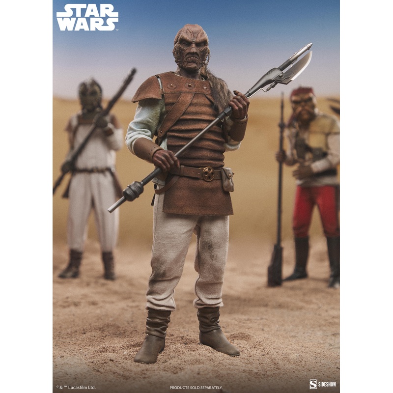 Pagetti Rook Sixth Scale Figure