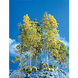 SuperTree(TM) Value Pack -- 30 to 35 Trees - 5 to 8"12.7 to 20.3cm