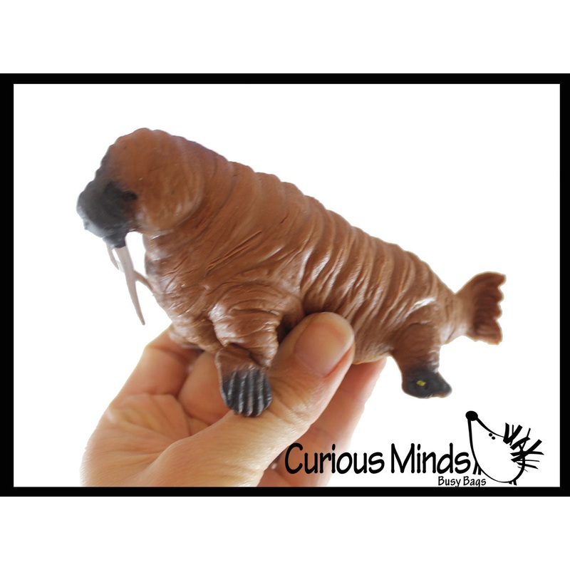 Walrus Stretchy and Squeezy Toy - Crunchy Bead Filled - Fidget Stress Ball