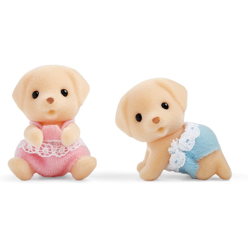 Yellow Labrador Twins