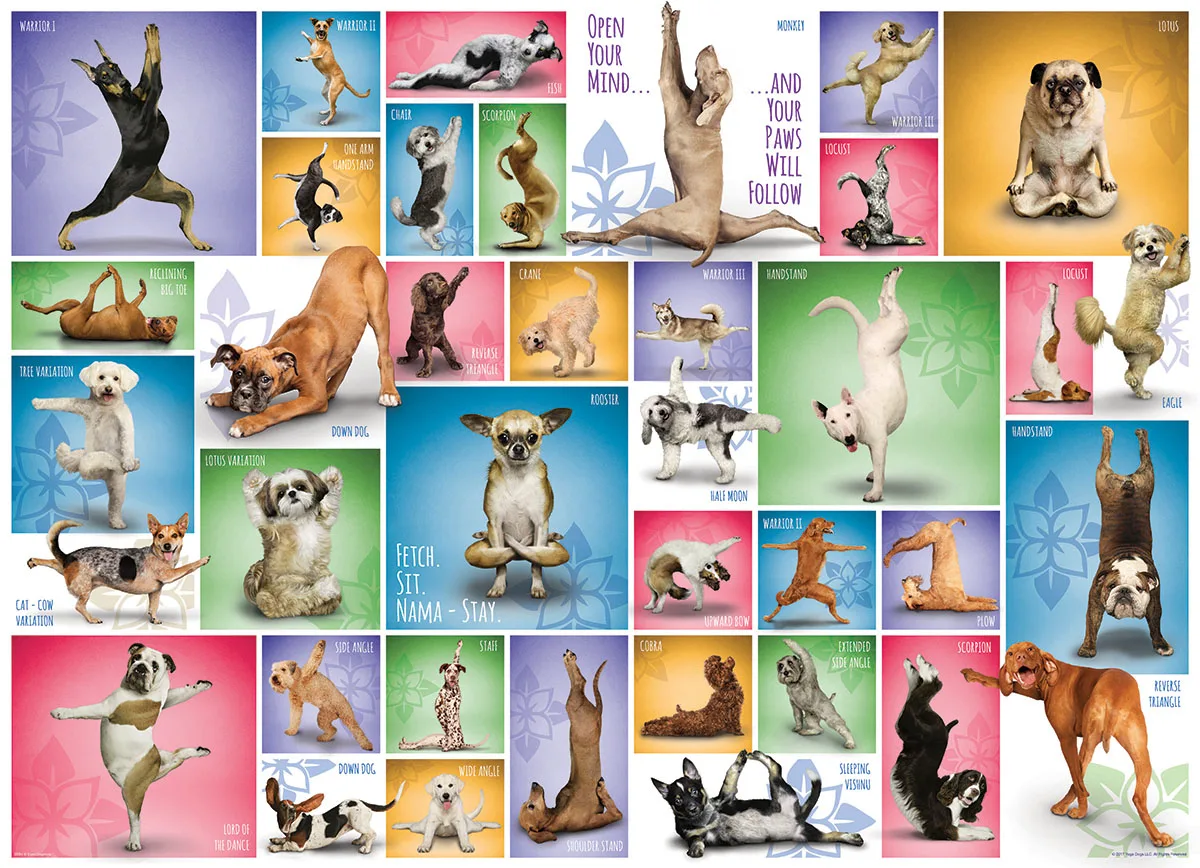 Yoga Dogs - 1000pc Jigsaw Puzzle by Eurographics
