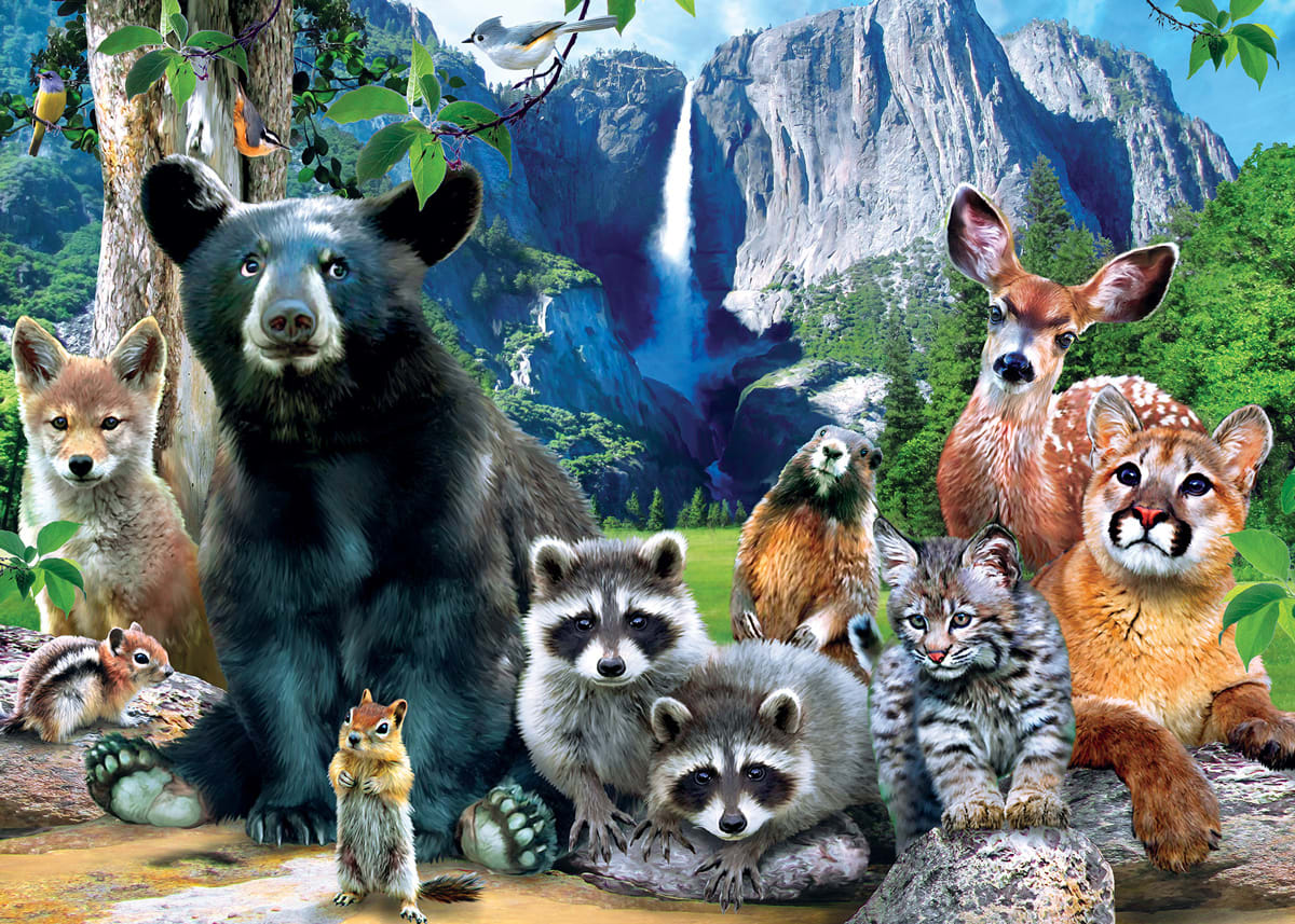 Yosemite - 500pc Jigsaw Puzzle by MasterPieces