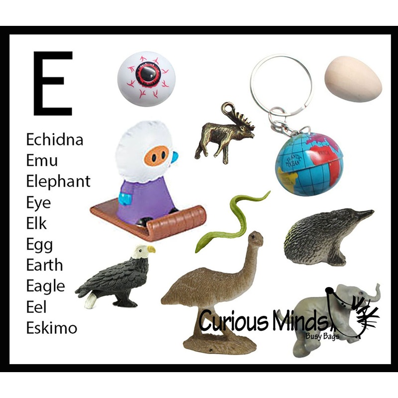z ALPHABET OBJECTS BY LETTER E