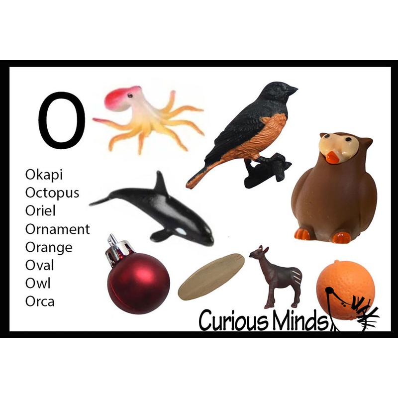 z ALPHABET OBJECTS BY LETTER O