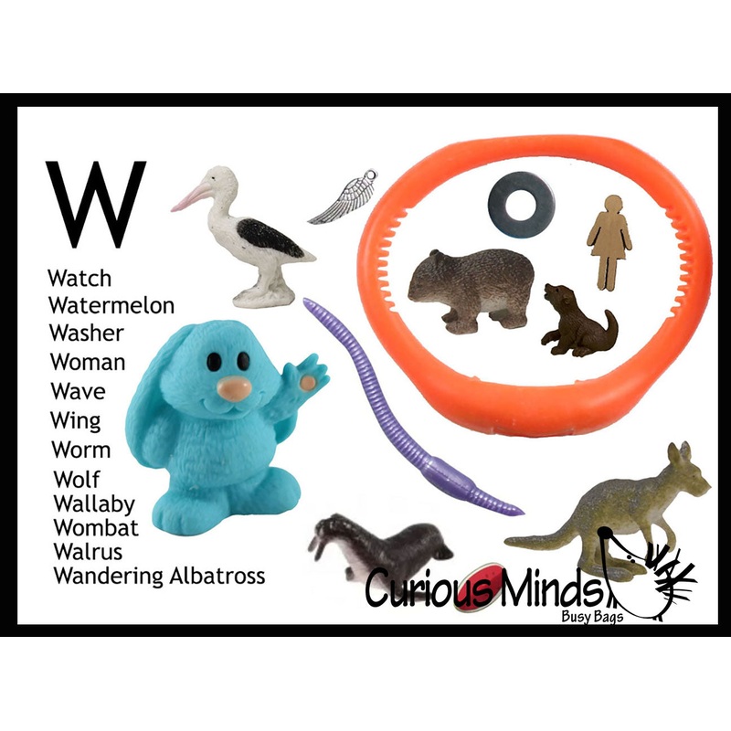 z ALPHABET OBJECTS BY LETTER W