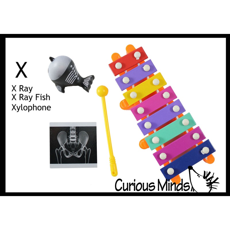 z ALPHABET OBJECTS BY LETTER X