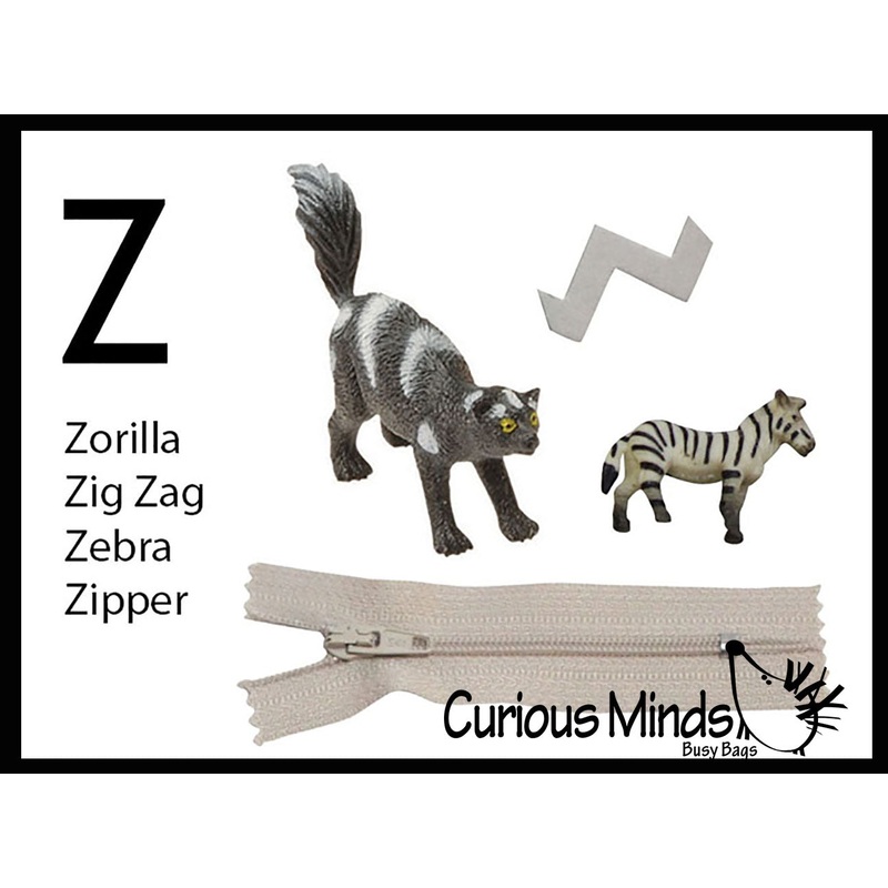 z ALPHABET OBJECTS BY LETTER Z